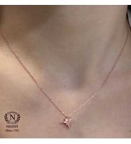 925 Ayar Gümüş Kuzey Kutup Yıldızı Kolye (Rose)