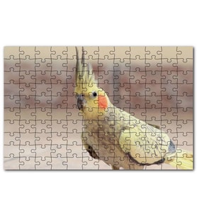 Cakapuzzle Sevimli Sarı Kakadu Papağanı Puzzle Yapboz MDF (Ahşap) (500 Parça)