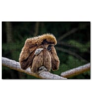 Cakapuzzle Bambu Üzerinde Dinlenen Gibbon Maymunu Puzzle Yapboz MDF (Ahşap) (1000 Parça)