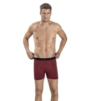 Jiber Erkek Modal Pamuklu Renkli Boxer 321 - 12 Adet  (Bordo)