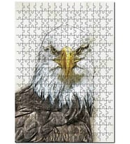 Cakapuzzle Pirizma Özellikli Sarı Gagalı Kartal Puzzle Yapboz MDF (Ahşap) (255 Parça)