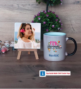 Fizik Öğretmeni Fotoğraflı Dekoratif Taş, Kupa Bardak Beyaz Hediye (Model 9)
