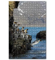 Cakapuzzle Kayalıktan Suya Atlayan Penguenler Puzzle Yapboz MDF (Ahşap) (1000 Parça)
