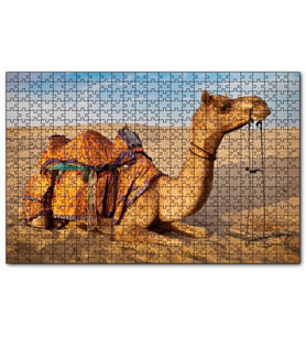 Cakapuzzle Çöl Kumlarına Çökmüş Deve  Puzzle Yapboz MDF (Ahşap) (255 Parça)