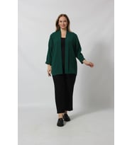 Büyük Beden Blazer Ceket (Yeşil)