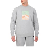 Esqudo Powder Erkek Sweatshirt ESWTP0004 (Gri)