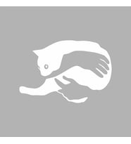 Kedi Seven El sticker siyah 20x15 CM (Beyaz)