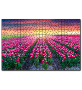 Cakapuzzle Hollanda Gündoğumunda Lale Tarlaları  Puzzle Yapboz MDF (Ahşap) (500 Parça)