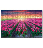 Cakapuzzle Hollanda Gündoğumunda Lale Tarlaları  Puzzle Yapboz MDF (Ahşap) (500 Parça)