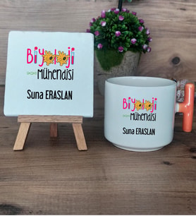 Biyoloji Mühendisi Hediye Seti Kupa Bardak T Kulplu ve Dekoratif Taş Mühendisler Günü Hediyesi (Model 7)