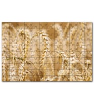 Cakapuzzle Eğilmiş Buğday Başakları Yakın Çekim Puzzle Yapboz MDF (Ahşap) (1000 Parça)