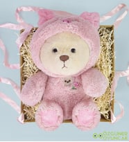 45 cm Hediye Kutulu Pufi Dinazorcuk (Pembe)