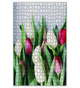 Cakapuzzle Beyaz Kırmızı Lale Çiçekleri Puzzle Yapboz MDF (Ahşap) (255 Parça)
