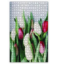 Cakapuzzle Beyaz Kırmızı Lale Çiçekleri Puzzle Yapboz MDF (Ahşap) (255 Parça)