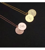 Kişiye Özel 925 Ayar Gümüş Disk Harf Parmak İzi Kolye (Rose)