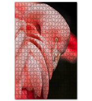 Cakapuzzle Siyah Arkaplan Flamingo Yakın Plan Puzzle Yapboz MDF (Ahşap) (1000 Parça)