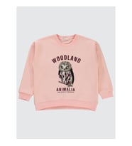 Civil Girls Kız Çocuk Sweatshirt 10-13 Yaş Pudra (Pudra)