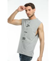 Süperlife Erkek Bisiklet Yaka Standart &Regular Fit Tişort SPR21Y05 (Grimelanj)