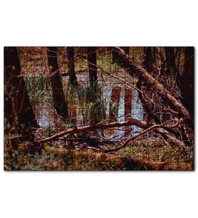 Cakapuzzle Orman ve Su Bir Arada  Puzzle Yapboz MDF (Ahşap) (1000 Parça)