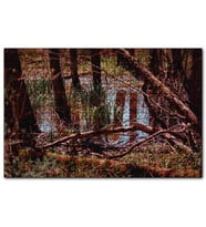 Cakapuzzle Orman ve Su Bir Arada  Puzzle Yapboz MDF (Ahşap) (1000 Parça)