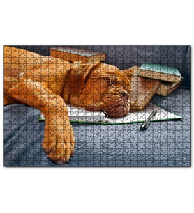 Cakapuzzle Kitap Defter Kalem ve Gözlüklü Kahverengi Buldog  Puzzle Yapboz MDF (Ahşap) (255 Parça)