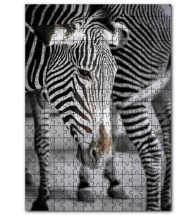 Cakapuzzle Hüzünlü Zebra ve Burnundaki Leke Puzzle Yapboz MDF (Ahşap) (255 Parça)