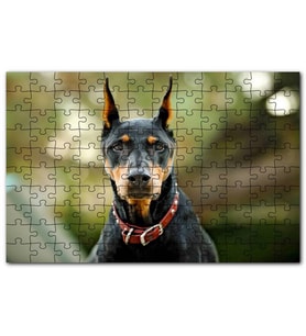 Cakapuzzle Kırmızı Tasmalı Doberman Flu Arkaplan Puzzle Yapboz MDF (Ahşap) (255 Parça)