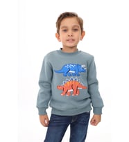Toontoy Erkek Çocuk Nakışlı Sweatshirt (Açık Mavi)