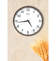 Klasik Duvar Saati Beyaz - 29 cm (Kahverengi)