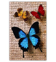 Cakapuzzle Mektup Zeminde Kelebek Puzzle Yapboz MDF (Ahşap) (500 Parça)