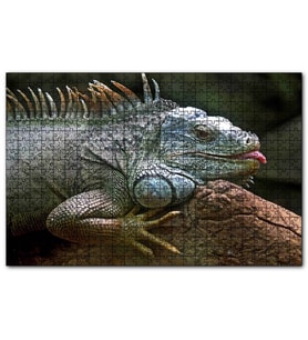 Cakapuzzle Dalın Üzerinde Dinlenen İguana  Puzzle Yapboz MDF (Ahşap) (1000 Parça)