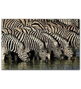 Cakapuzzle Su İçen Zebra Sürüsü Görseli  Puzzle Yapboz MDF (Ahşap) (255 Parça)