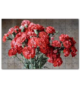 Cakapuzzle Bir Demet Kırmızı Yabani Karanfil Puzzle Yapboz MDF (Ahşap) (255 Parça)