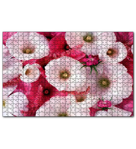 Cakapuzzle Pembeli Beyazlı Kapriz Çiçeği Görseli  Puzzle Yapboz MDF (Ahşap) (255 Parça)