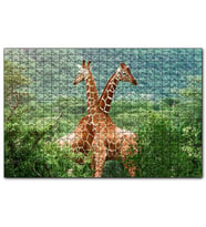 Cakapuzzle Ormanda Zürafa Çifti  Puzzle Yapboz MDF (Ahşap) (1000 Parça)