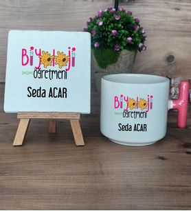 Biyoloji Öğretmeni Hediye Seti Kupa Bardak T Kulplu ve Dekoratif Taş Öğretmenler Günü Hediyesi Biyoloji Öğretmenine Hediye (Model 4)