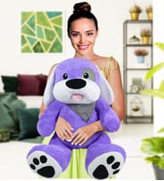 Karizmatik Korsan Köpek  (%100 yerli ) (Lila)