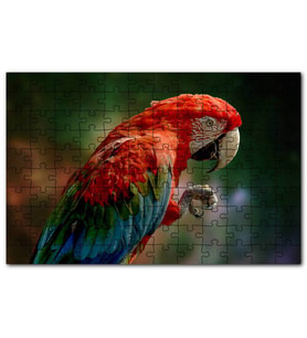 Cakapuzzle Kırmızı Mavi Papağan Pençesi Flu Arkaplan Puzzle Yapboz MDF (Ahşap) (1000 Parça)
