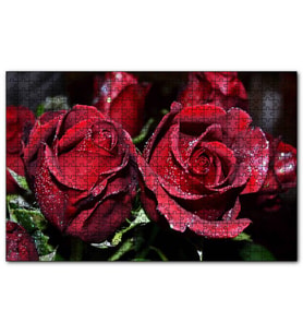 Cakapuzzle Kırmızı Güller ve Çiy Damlaları  Puzzle Yapboz MDF (Ahşap) (500 Parça)