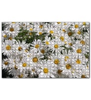 Cakapuzzle Beyaz Büyük Papatyalar Puzzle Yapboz MDF (Ahşap) (500 Parça)