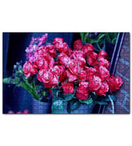 Cakapuzzle Saksı İçinde Muhteşem Kırmızı Güller Puzzle Yapboz MDF (Ahşap) (255 Parça)