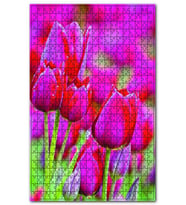 Cakapuzzle Kırmızı Lale Çiçeği Yağmur Damlacığı Puzzle Yapboz MDF (Ahşap) (255 Parça)