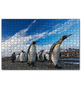 Cakapuzzle Karlı Topraklar ve Penguenler  Puzzle Yapboz MDF (Ahşap) (500 Parça)