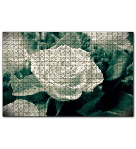 Cakapuzzle Beyaz Güller Görseli  Puzzle Yapboz MDF (Ahşap) (255 Parça)