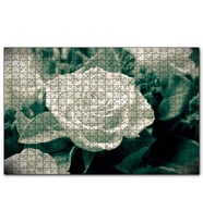 Cakapuzzle Beyaz Güller Görseli  Puzzle Yapboz MDF (Ahşap) (255 Parça)