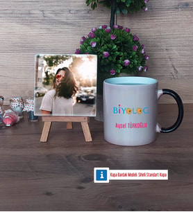 Biyolog Fotoğraflı Dekoratif Taş, Kupa Bardak Beyaz HediyeBiyologa Hediye (Model 9)