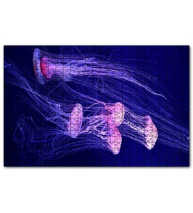 Cakapuzzle  Derin Denizlerdeki Denizanaları  Puzzle Yapboz MDF (Ahşap) (1000 Parça)
