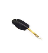 Orijinal Steel Pen Kuş Tüyü Divit Kalemi Seti (Siyah)