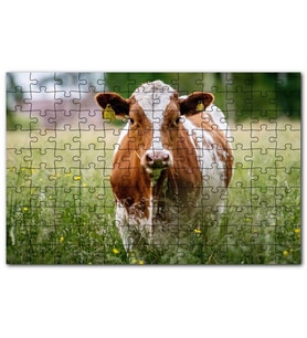 Cakapuzzle Çayırda Kahverengi Beyaz İnek Puzzle Yapboz MDF (Ahşap) (500 Parça)
