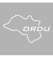 Ordu Harita Araba Sticker siyah 17x10 CM (Beyaz)